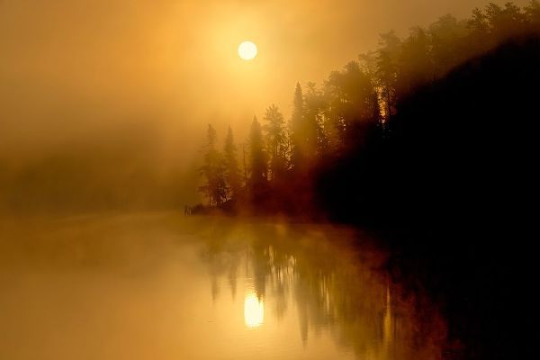 Canada-Ontario-Kenora Fog at sunrise on Isabel Lake